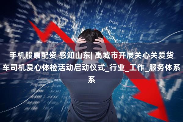 手机股票配资 感知山东| 禹城市开展关心关爱货车司机爱心体检活动启动仪式_行业_工作_服务体系